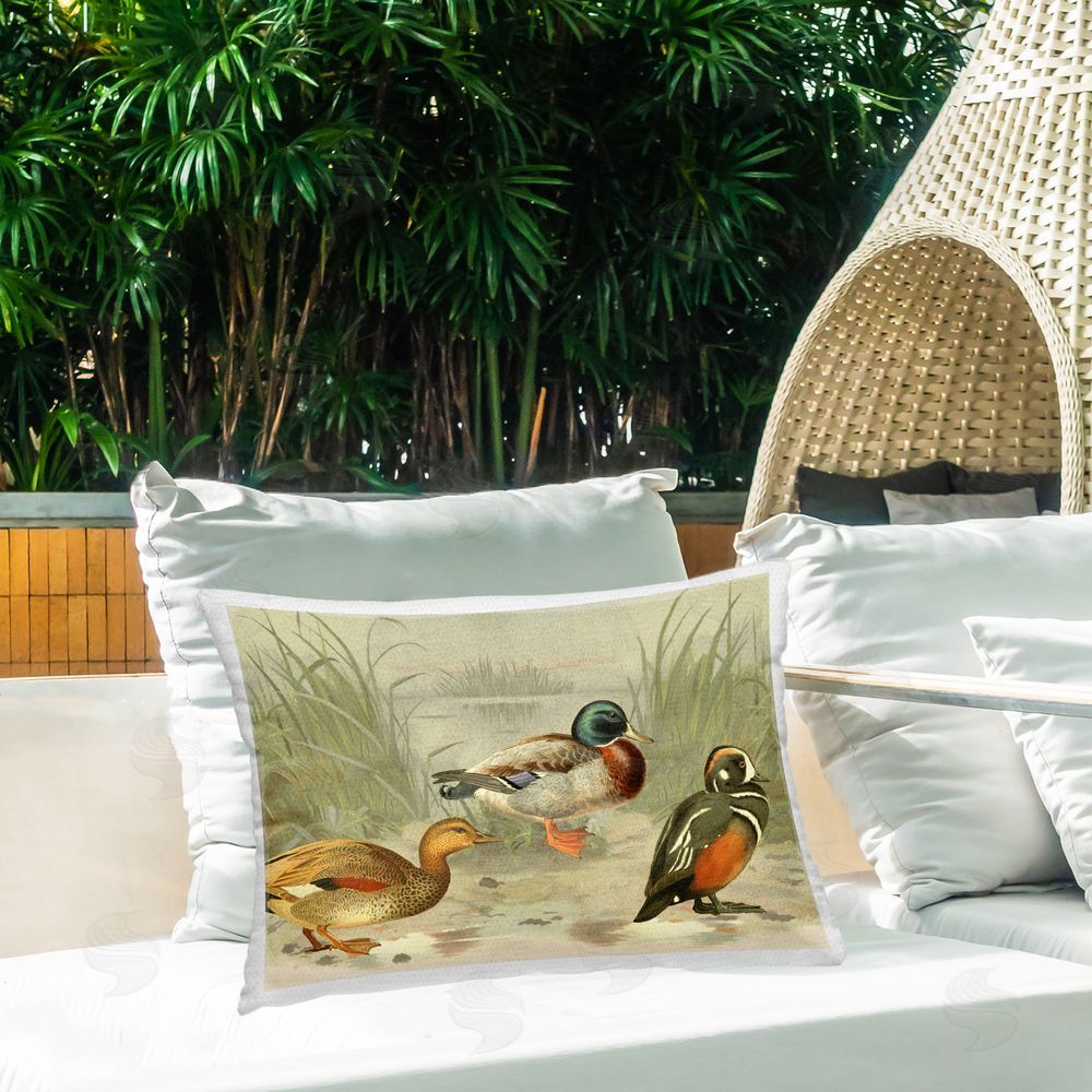 Gail Fraser Ducks & Pond Nature Outdoor Quick-Dry Polyester Printed Throw Pillow in Back Yard
