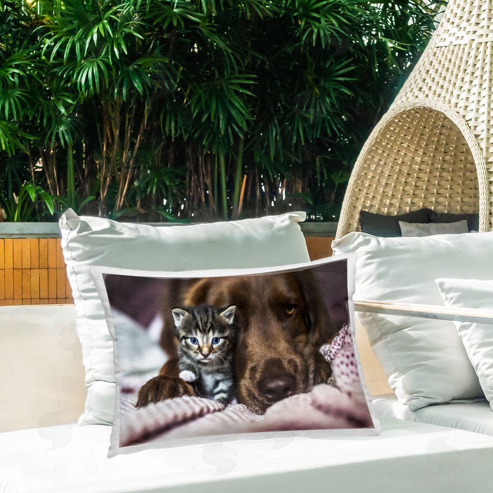 Natalie Grosse Kitten & Dog Friendship Outdoor Quick-Dry Polyester Printed Throw Pillow in Back Yard