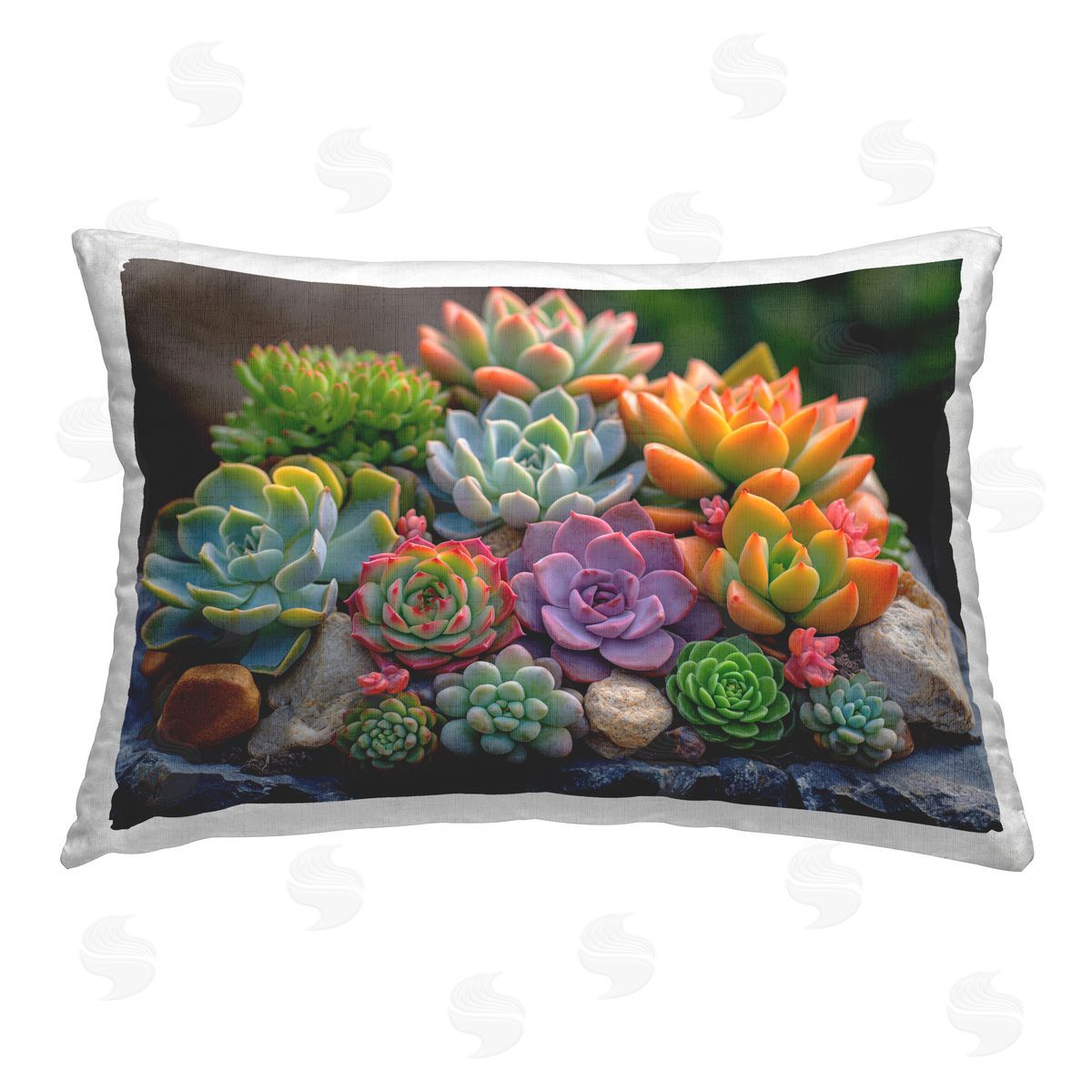 Imagine It Images Bold Succulent Botanicals Printed Plush Polyester Throw Pillow