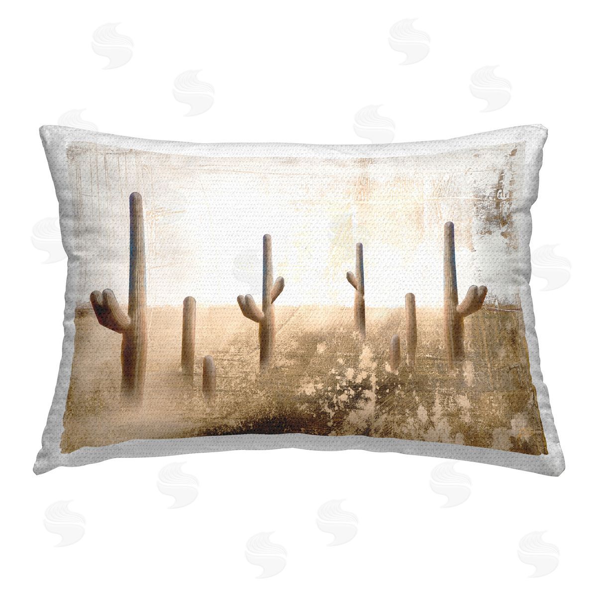 Dan Meneely Rustic Weathered Cactus Outdoor Quick-Dry Polyester Printed Throw Pillow