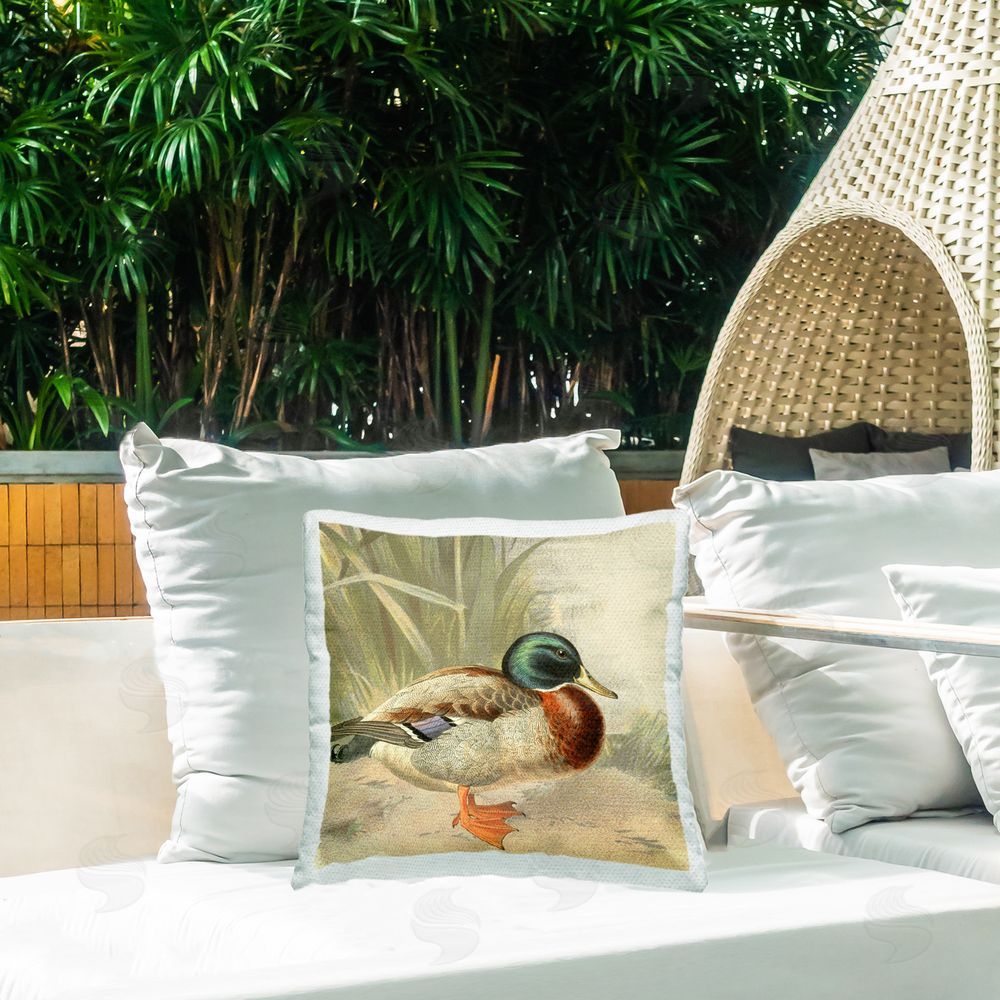 Gail Fraser Mallard Duck Scene Outdoor Quick-Dry Polyester Printed Throw Pillow in Back Yard