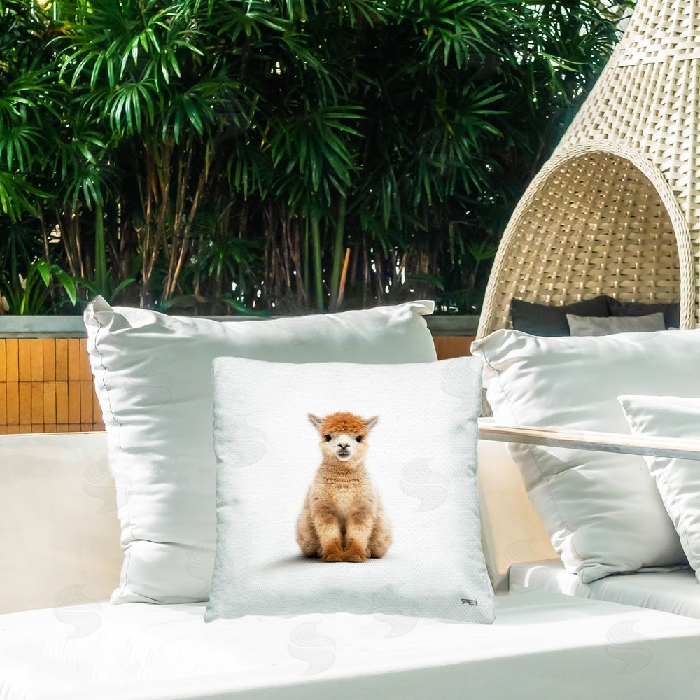 RB Minimal Baby Llama Outdoor Quick-Dry Polyester Printed Throw Pillow in Back Yard