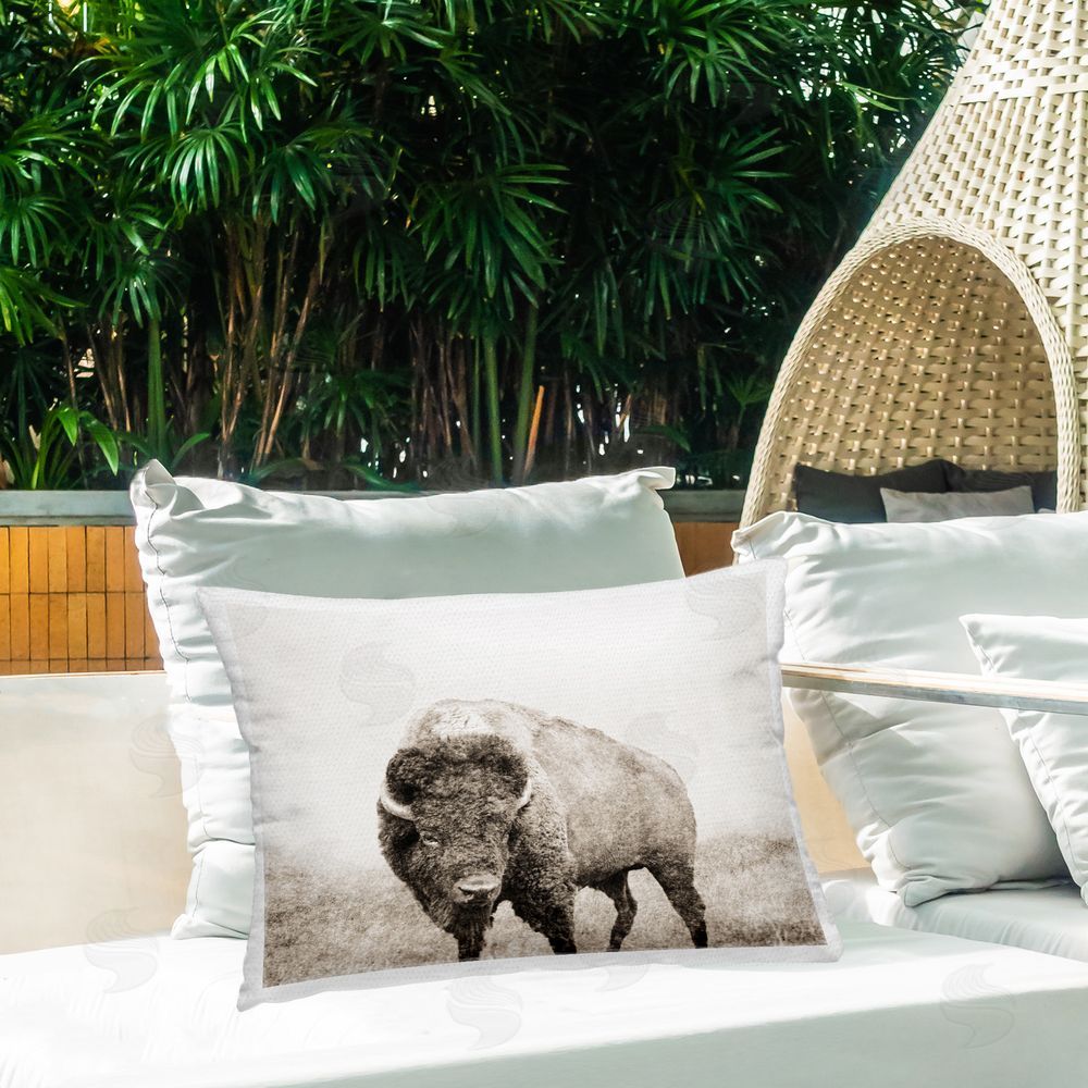 Dan Meneely Bison Distressed Portrait Outdoor Quick-Dry Polyester Printed Throw Pillow in Back Yard