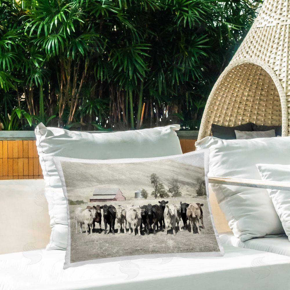 Rhonda Addison Varied Cattle on Farm Outdoor Quick-Dry Polyester Printed Throw Pillow in Back Yard