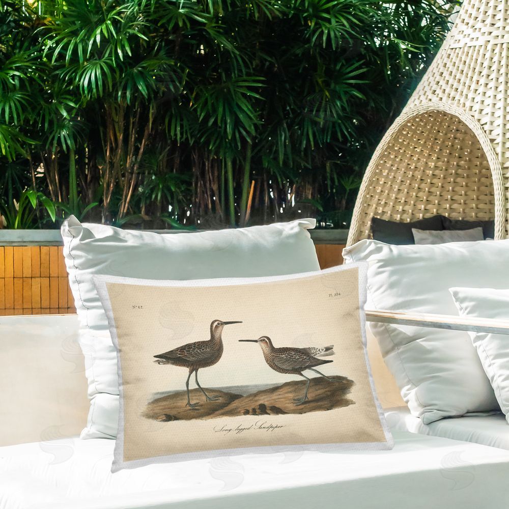 Wild Apple Portfolio Long Legged Sandpiper Outdoor Quick-Dry Polyester Printed Throw Pillow in Back Yard