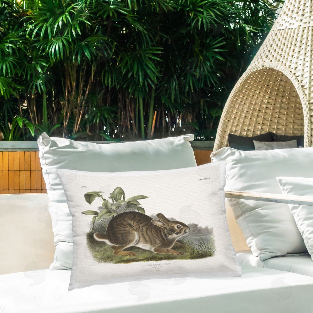 Wild Apple Portfolio Vintage Cottage Hare Outdoor Quick-Dry Polyester Printed Throw Pillow in Back Yard
