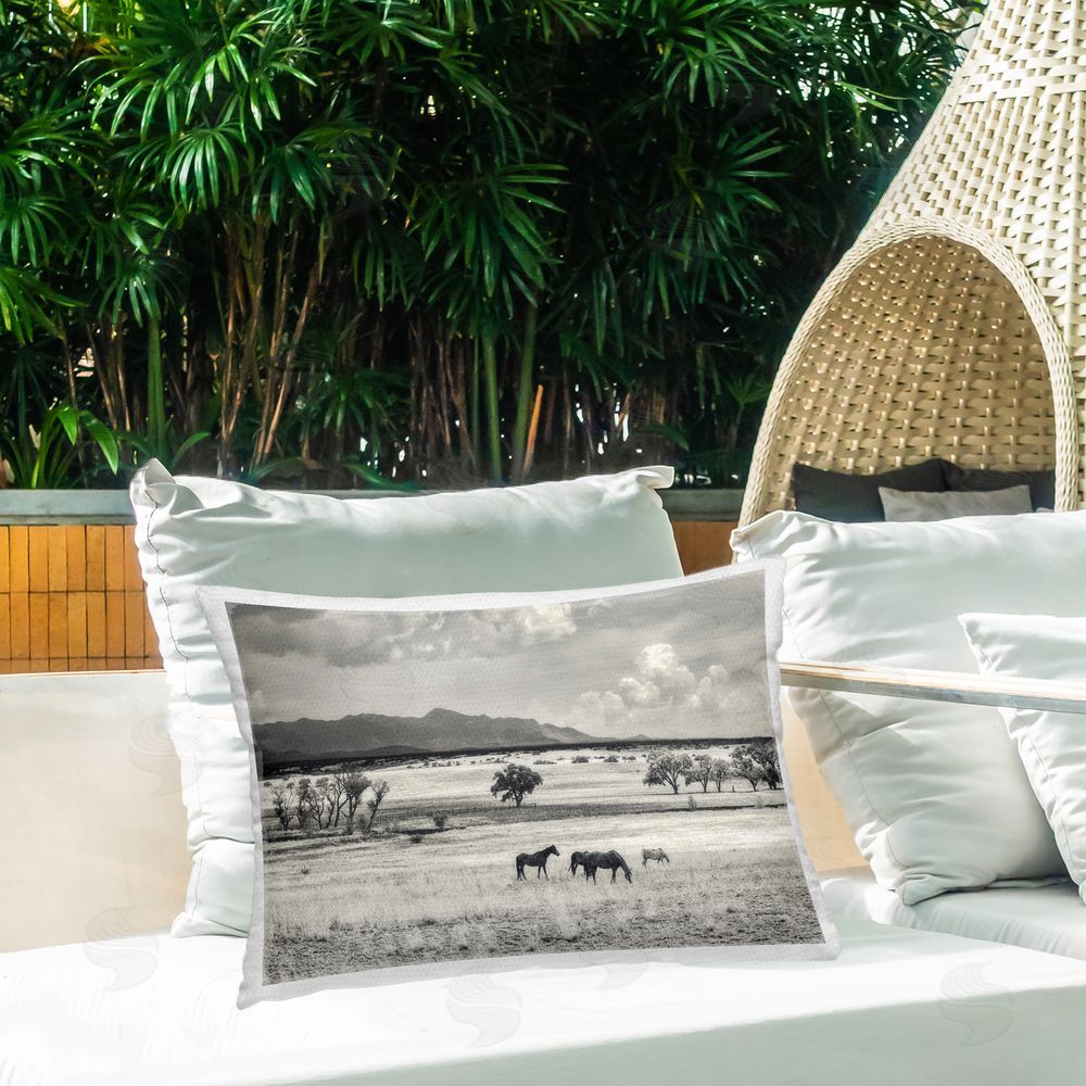 Murray Bolesta Horses Grazing Highland Outdoor Quick-Dry Polyester Printed Throw Pillow in Back Yard