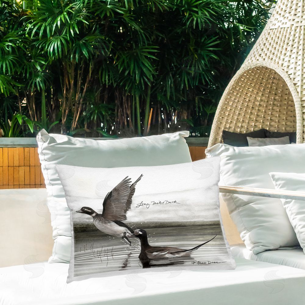 Jadei Graphics Long Tailed Duck Outdoor Quick-Dry Polyester Printed Throw Pillow in Back Yard