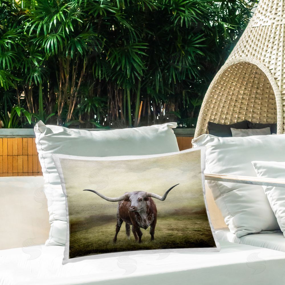 Kelley Parker Pride Of The Longhorn Outdoor Quick-Dry Polyester Printed Throw Pillow in Back Yard