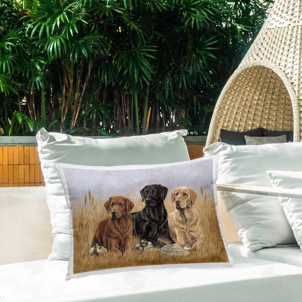 Victoria Schultz Dog Trio & Ducks Outdoor Quick-Dry Polyester Printed Throw Pillow in Back Yard