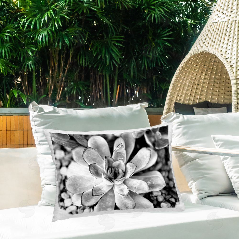 Susan Bryant Monochrome Succulent Leaves Outdoor Quick-Dry Polyester Printed Throw Pillow in Back Yard