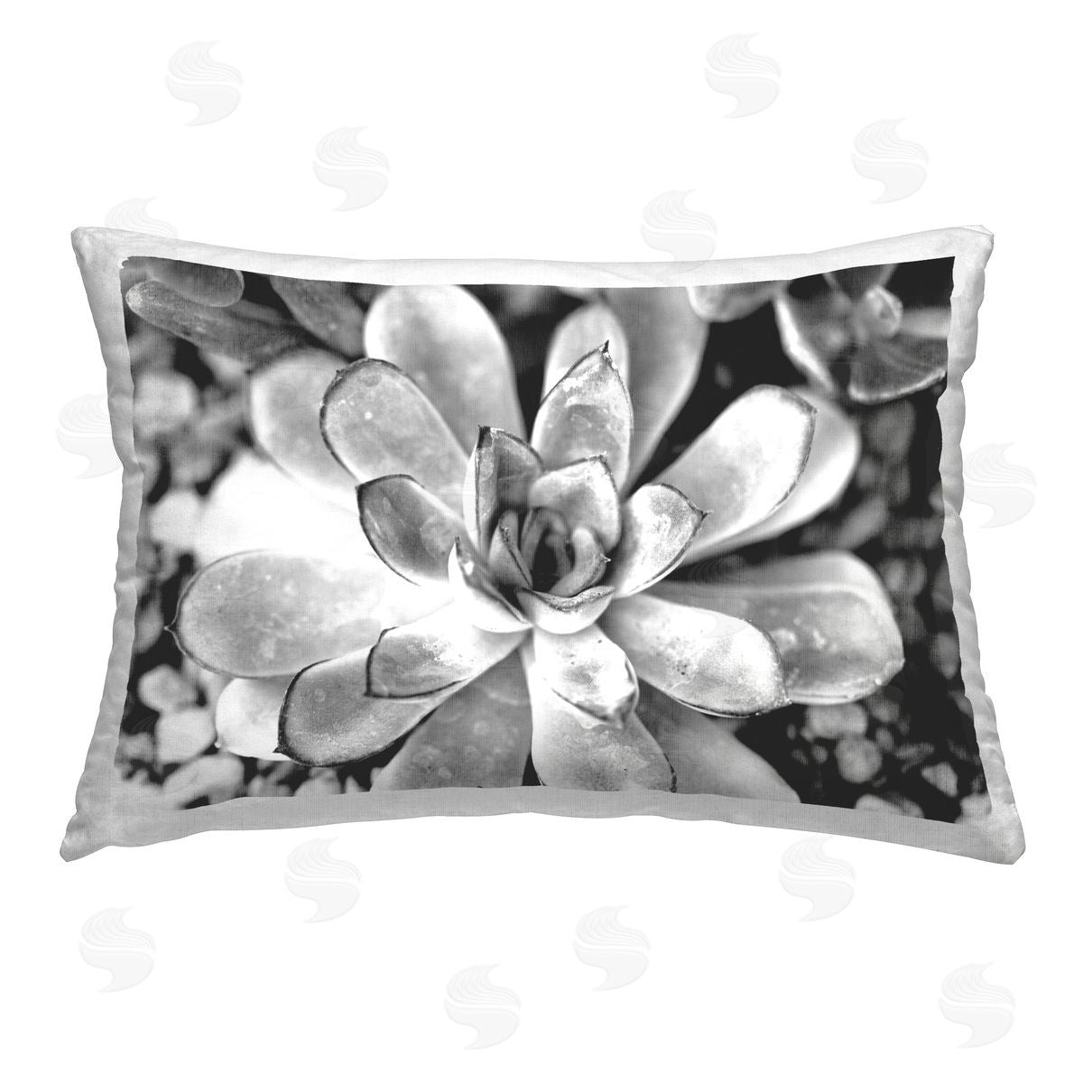 Susan Bryant Monochrome Succulent Leaves Printed Plush Polyester Throw Pillow
