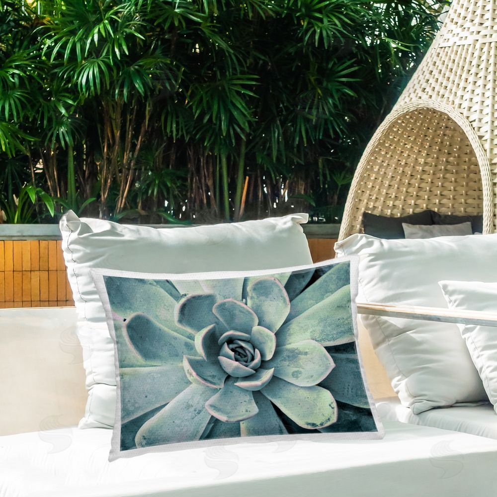 Susan Bryant Green Cactus Succulent Outdoor Quick-Dry Polyester Printed Throw Pillow in Back Yard
