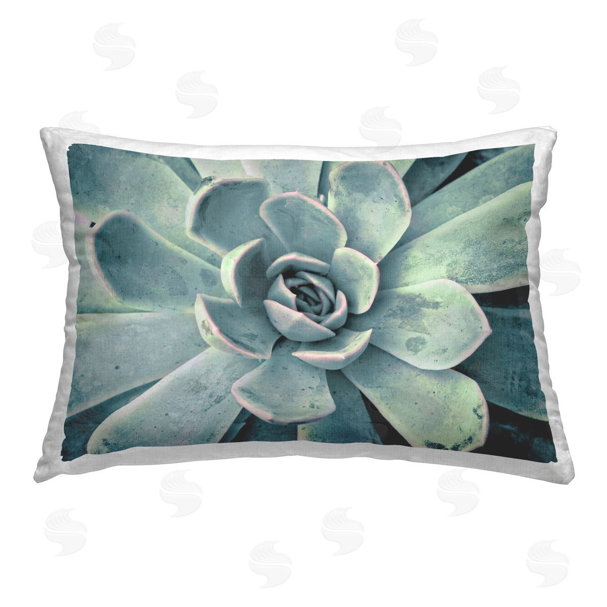 Susan Bryant Green Cactus Succulent Printed Plush Polyester Throw Pillow