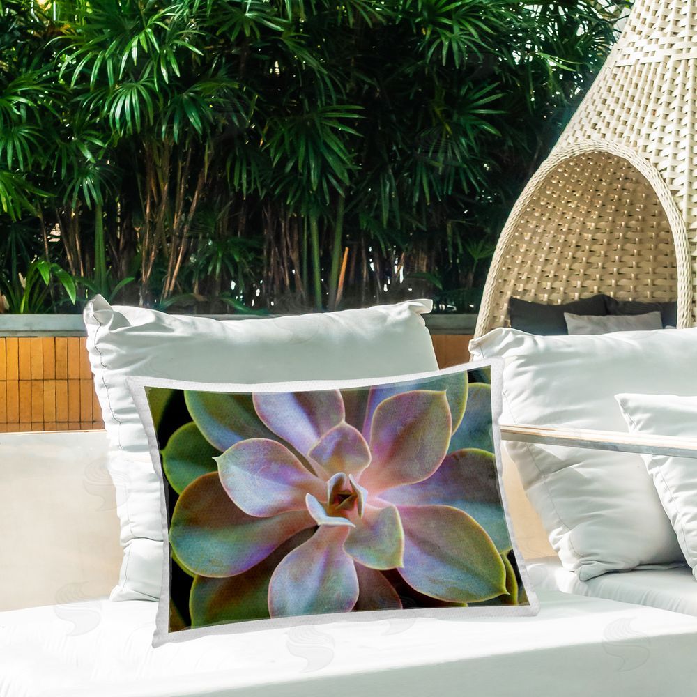Susan Bryant Blooming Succulent Leaves Outdoor Quick-Dry Polyester Printed Throw Pillow in Back Yard