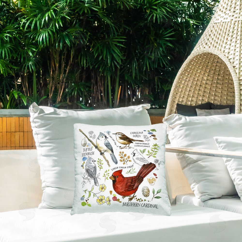 Jane Maday Bird Watching Chart Outdoor Quick-Dry Polyester Printed Throw Pillow in Back Yard