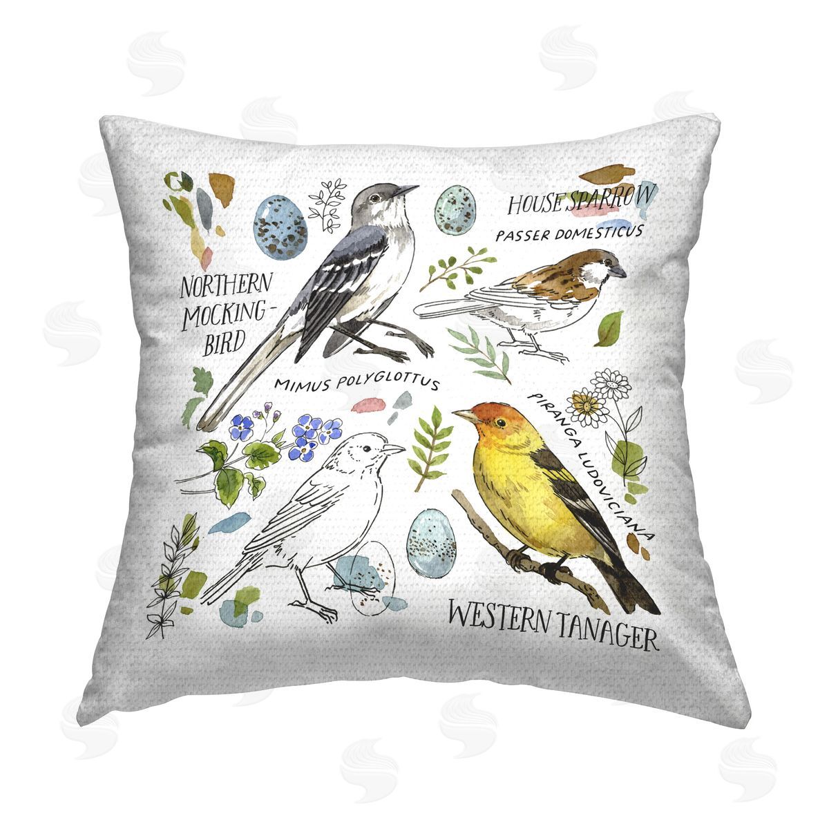Jane Maday Local Bird Diagram Outdoor Quick-Dry Polyester Printed Throw Pillow