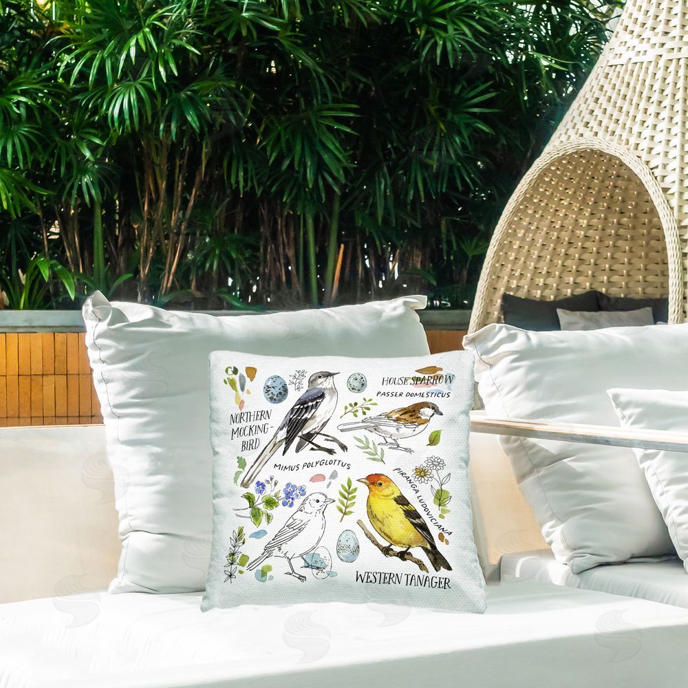 Jane Maday Local Bird Diagram Outdoor Quick-Dry Polyester Printed Throw Pillow in Back Yard