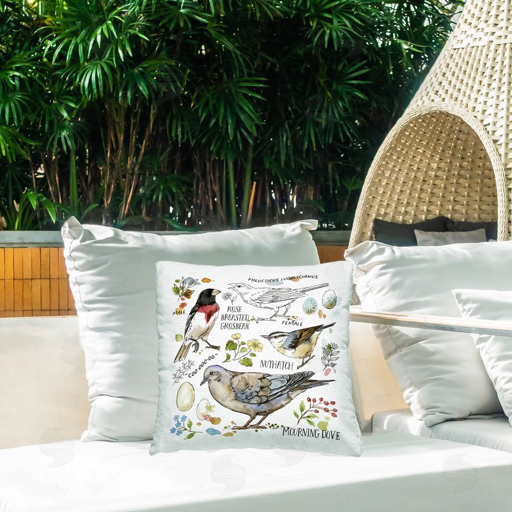Jane Maday Bird Watching Diagram Outdoor Quick-Dry Polyester Printed Throw Pillow in Back Yard