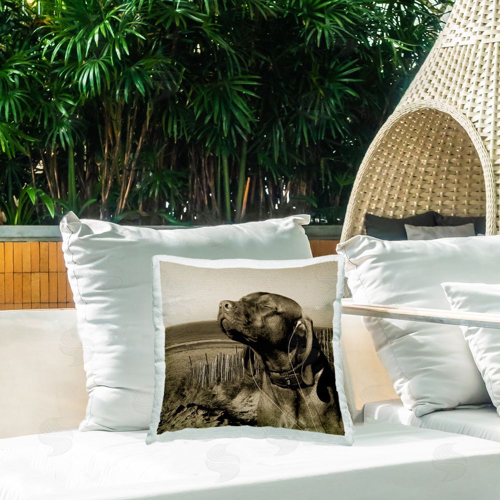 Noah Bay Relaxed Dog with Music Outdoor Quick-Dry Polyester Printed Throw Pillow in Back Yard