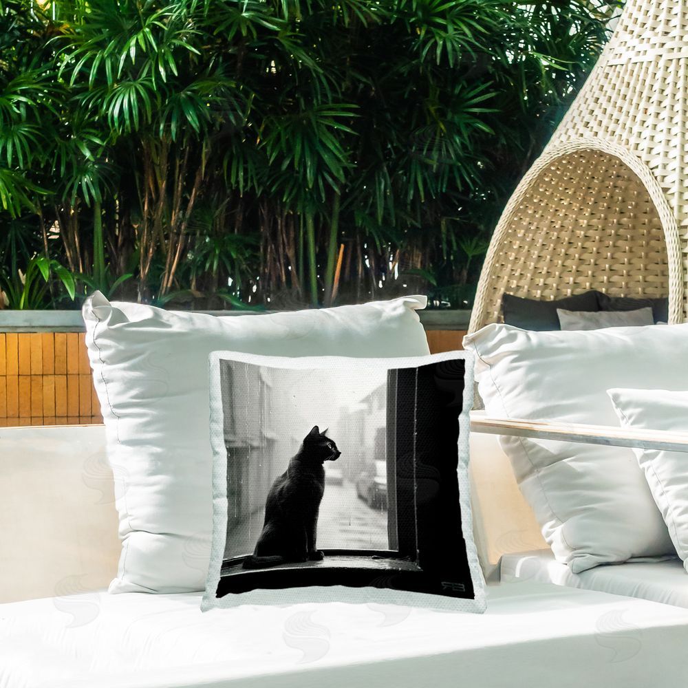 Roozbeh Bahramali Cat Gazing Rainy Window Outdoor Quick-Dry Polyester Printed Throw Pillow in Back Yard