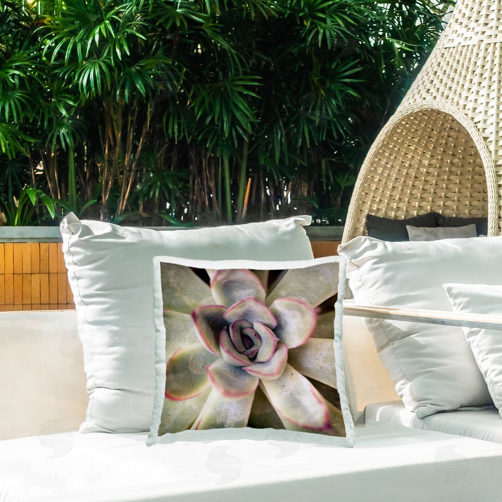 Susan Bryant Succulent Petals Pattern Outdoor Quick-Dry Polyester Printed Throw Pillow in Back Yard
