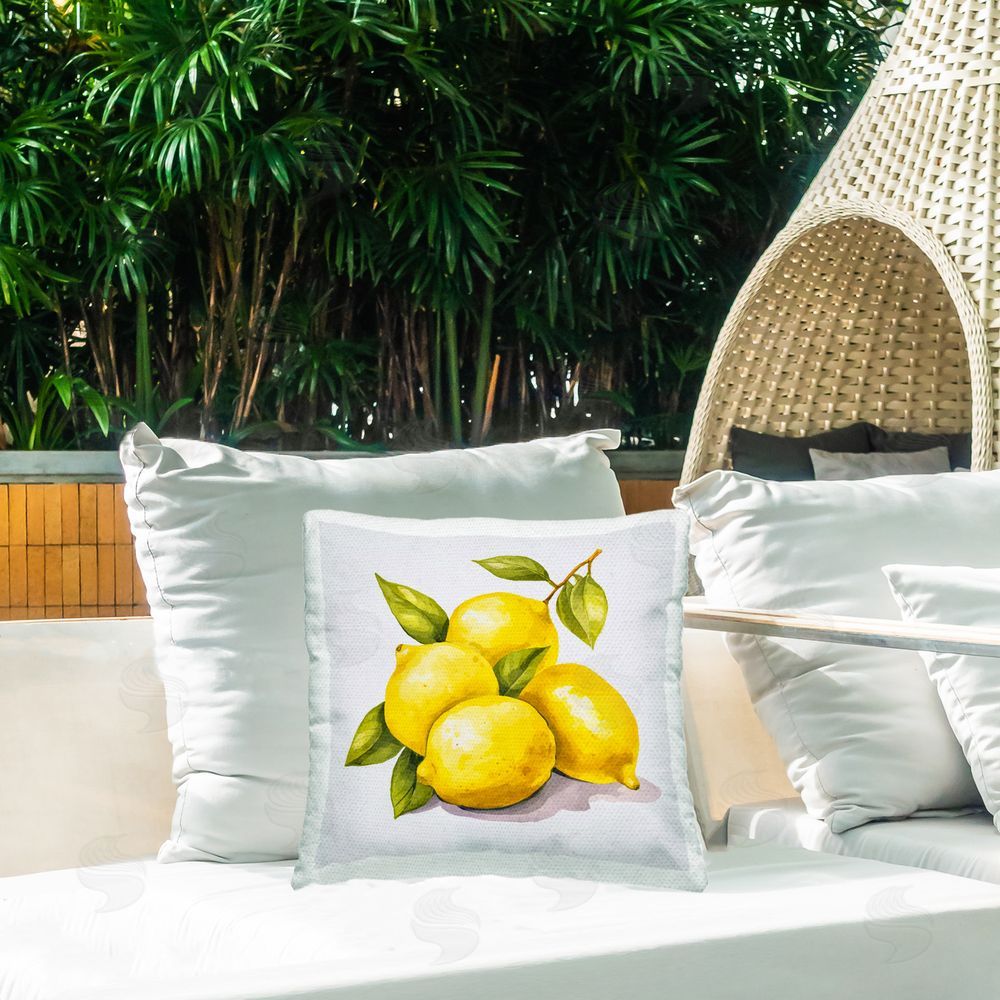Andrea Haase Lemon Delights Fruit Outdoor Quick-Dry Polyester Printed Throw Pillow in Back Yard
