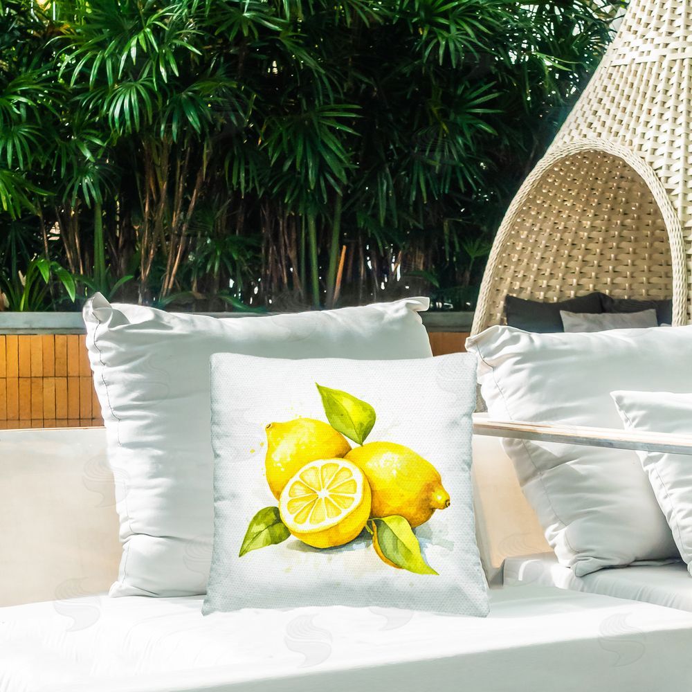 Andrea Haase Lemon Harvest Fruits Outdoor Quick-Dry Polyester Printed Throw Pillow in Back Yard