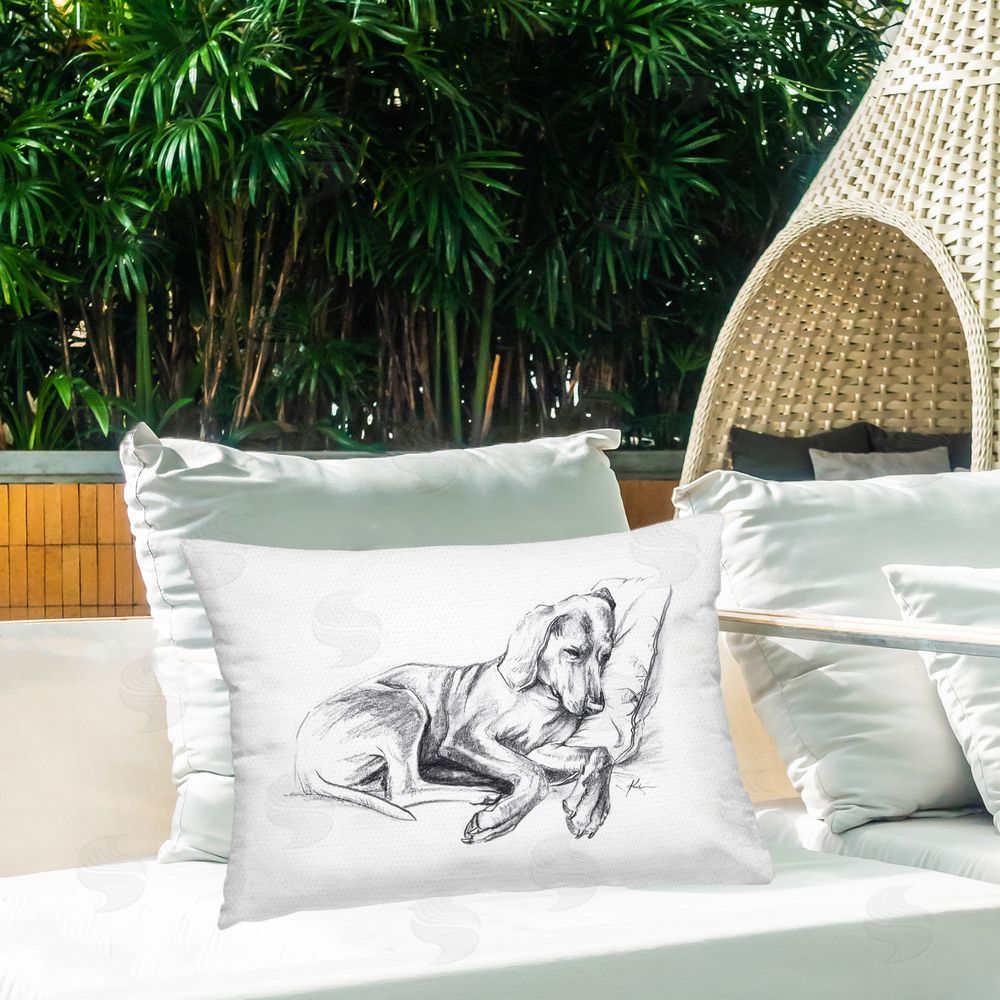 Lindsay Kivi Fine Art Napping Dog Drawing Outdoor Quick-Dry Polyester Printed Throw Pillow in Back Yard