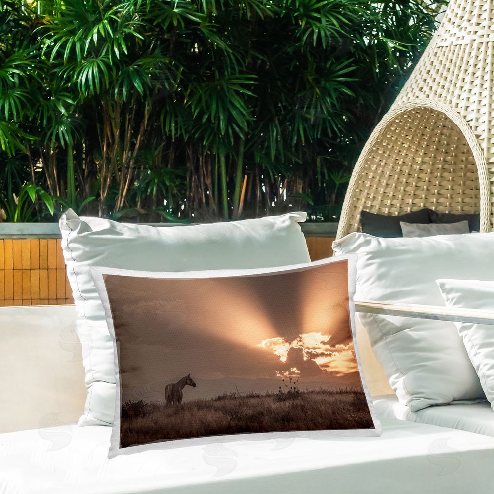Nathan Larson Faded Sunset with Horse Outdoor Quick-Dry Polyester Printed Throw Pillow in Back Yard