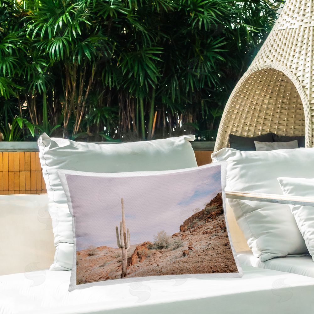 Nathan Larson The Climb Desertscape Outdoor Quick-Dry Polyester Printed Throw Pillow in Back Yard