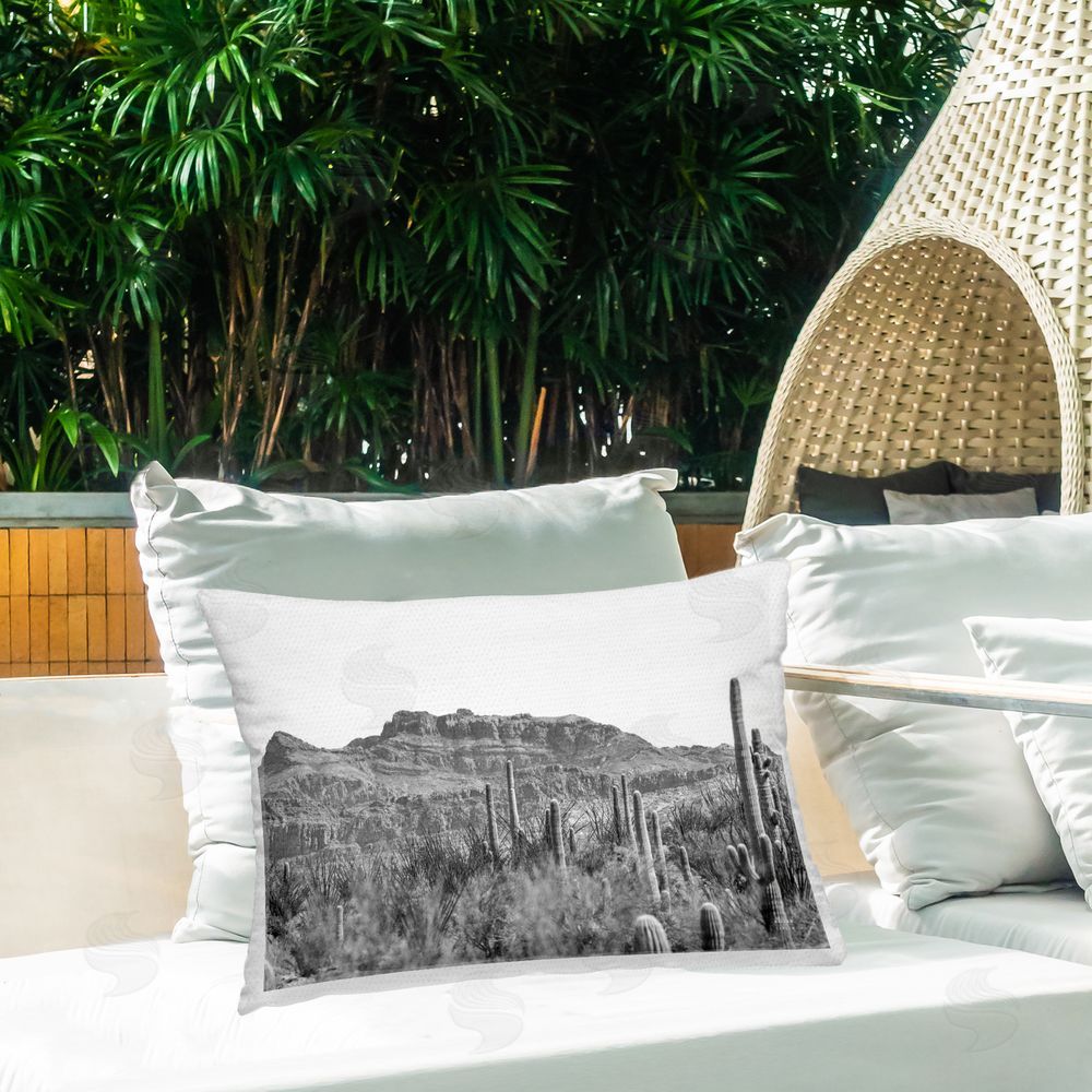 Nathan Larson American Borderlands Desertscape Outdoor Quick-Dry Polyester Printed Throw Pillow in Back Yard