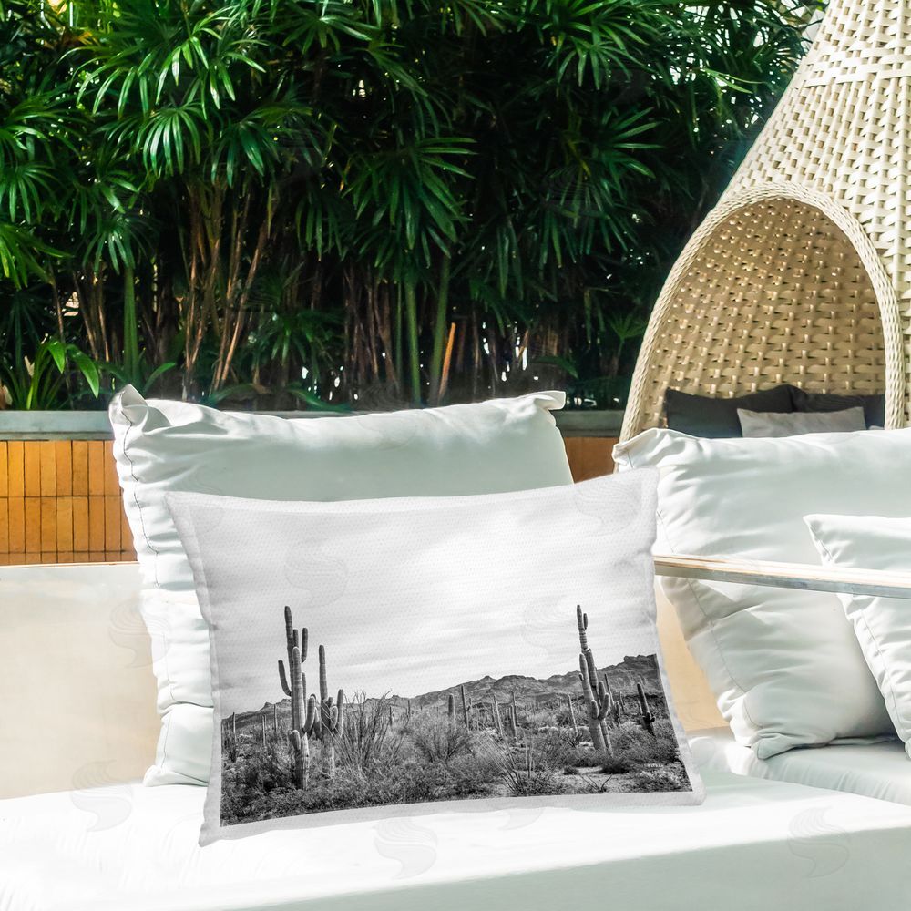 Nathan Larson Sonoran Desert Wonderland Outdoor Quick-Dry Polyester Printed Throw Pillow in Back Yard