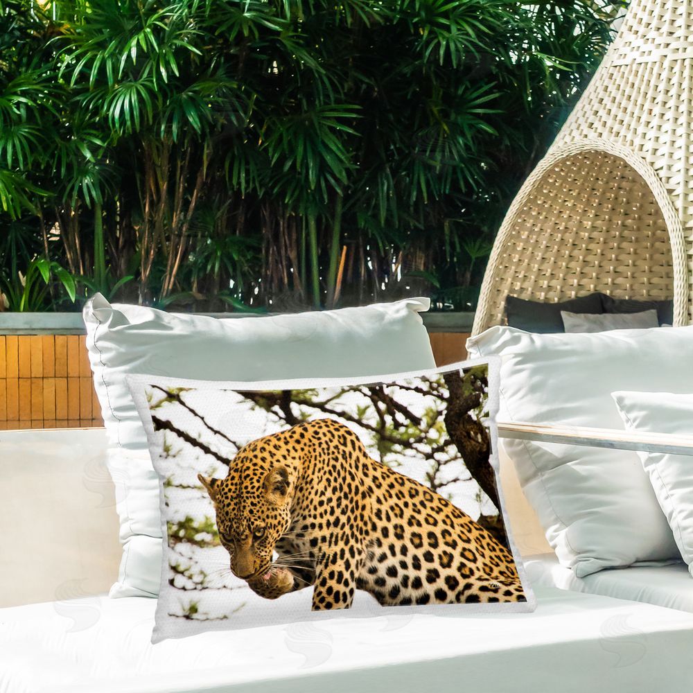 Max Blakesberg Studios Leopard After Lunch Outdoor Quick-Dry Polyester Printed Throw Pillow in Back Yard
