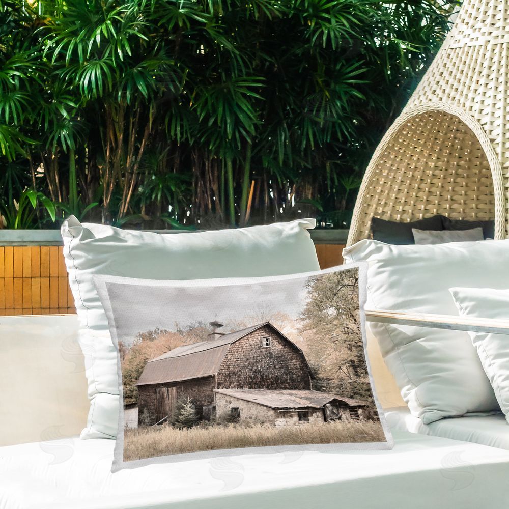 Lori Deiter Beige Rustic Barn Outdoor Quick-Dry Polyester Printed Throw Pillow in Back Yard
