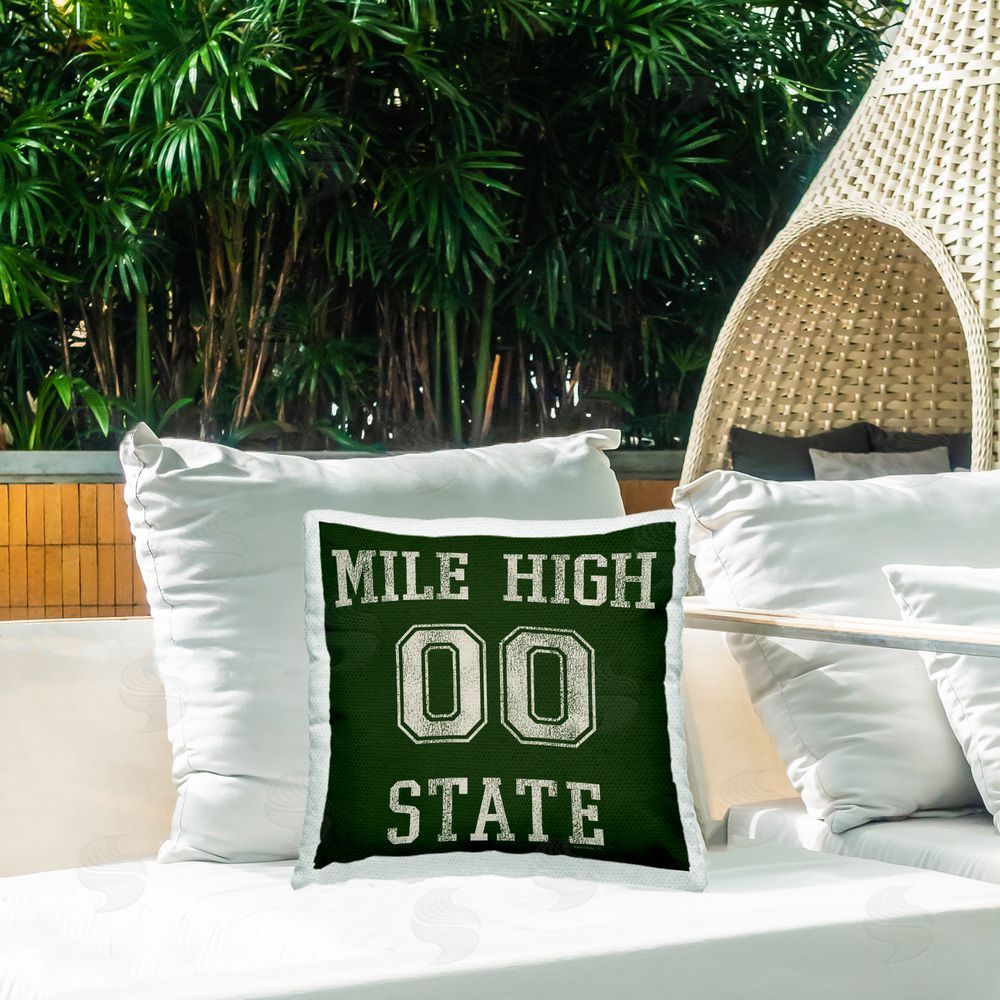 Higher Learning/Life Is High Vintage Mile High State Outdoor Quick-Dry Polyester Printed Throw Pillow in Back Yard