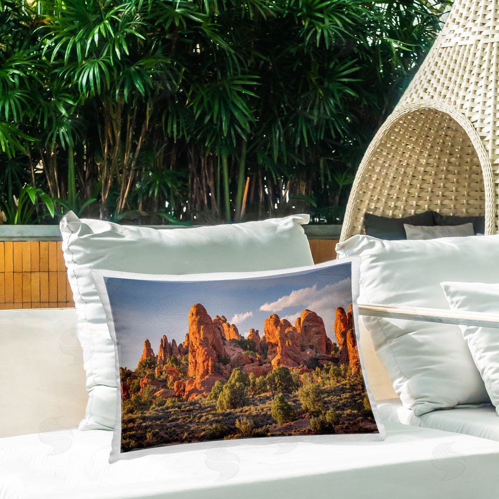 Marty Hulsebos Pointed Canyon Buttes Outdoor Quick-Dry Polyester Printed Throw Pillow in Back Yard