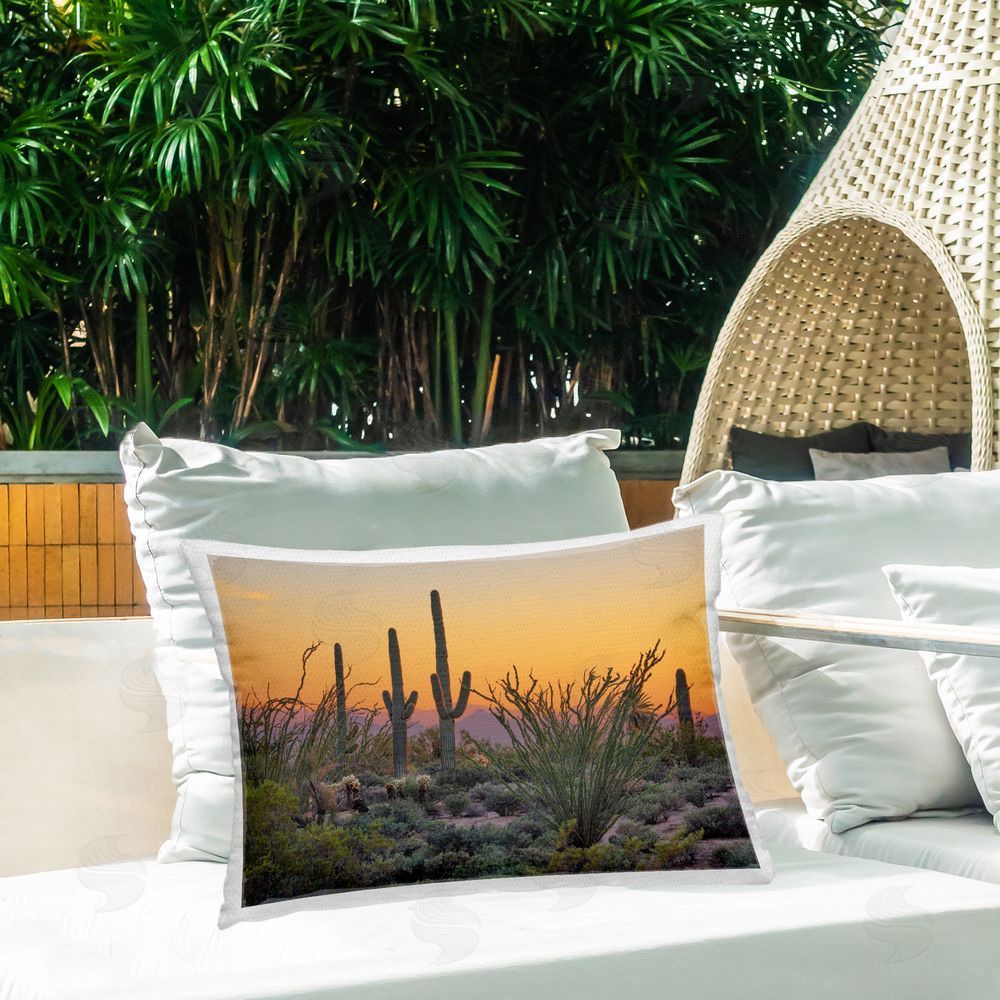 Marty Hulsebos Sunset Desertscape Cacti Outdoor Quick-Dry Polyester Printed Throw Pillow in Back Yard