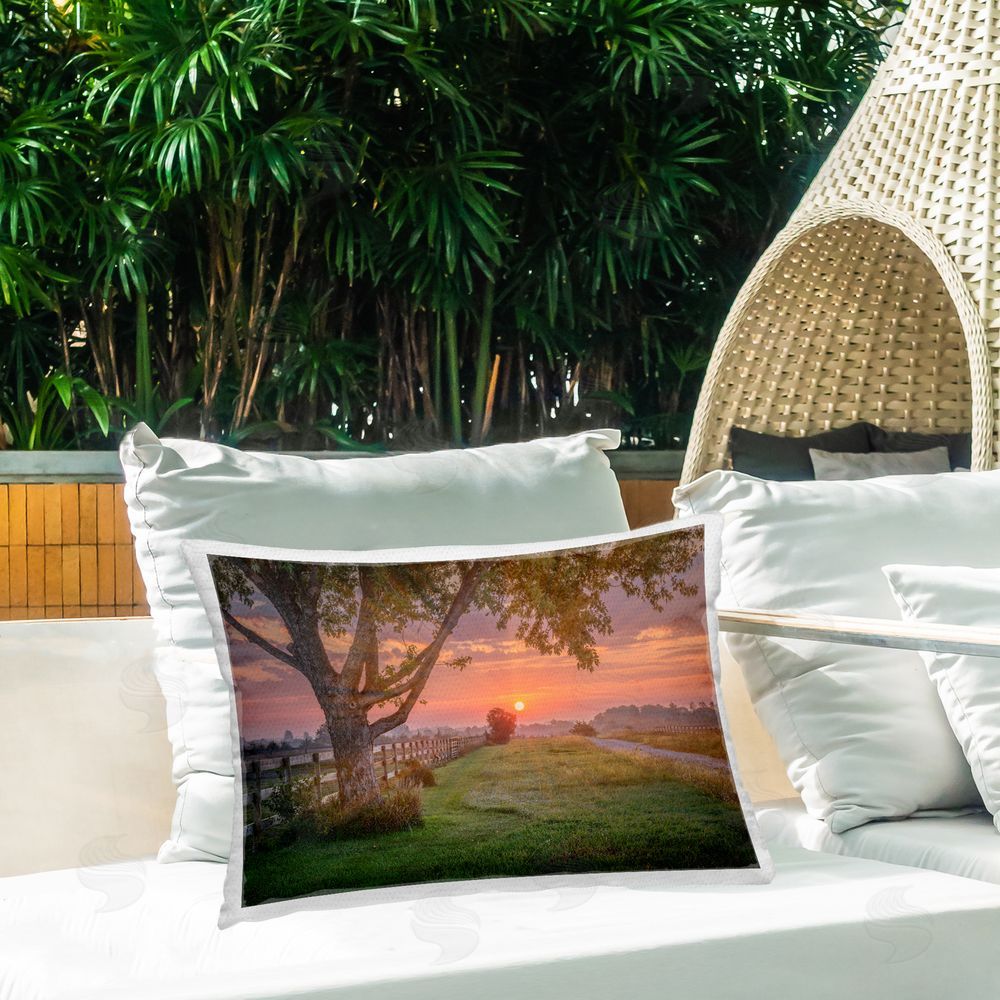 Marty Hulsebos Bold Sunrise in Countryside Outdoor Quick-Dry Polyester Printed Throw Pillow in Back Yard