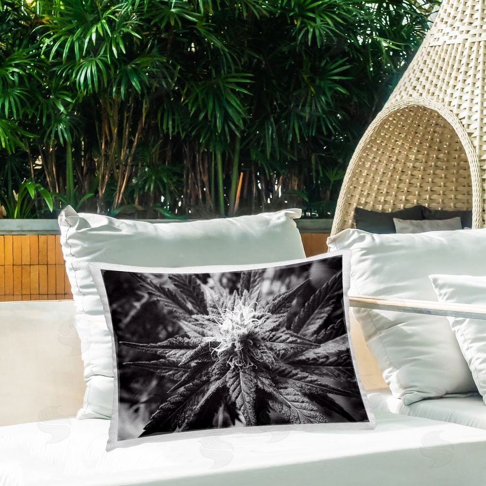 LIH Dark Cannabis Flower Outdoor Quick-Dry Polyester Printed Throw Pillow in Back Yard