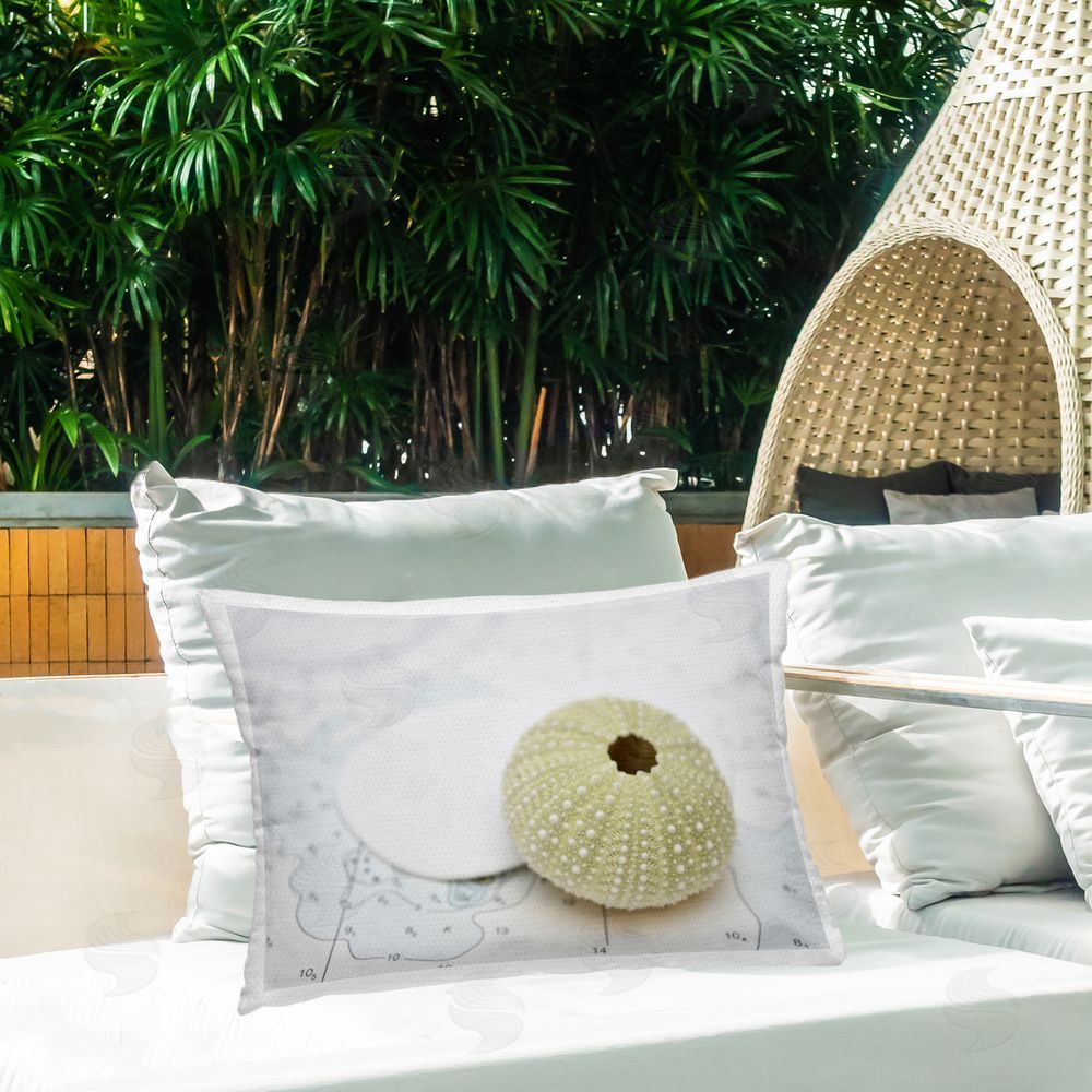 Savanah Plank Aquatic Sea Urchin Outdoor Quick-Dry Polyester Printed Throw Pillow in Back Yard