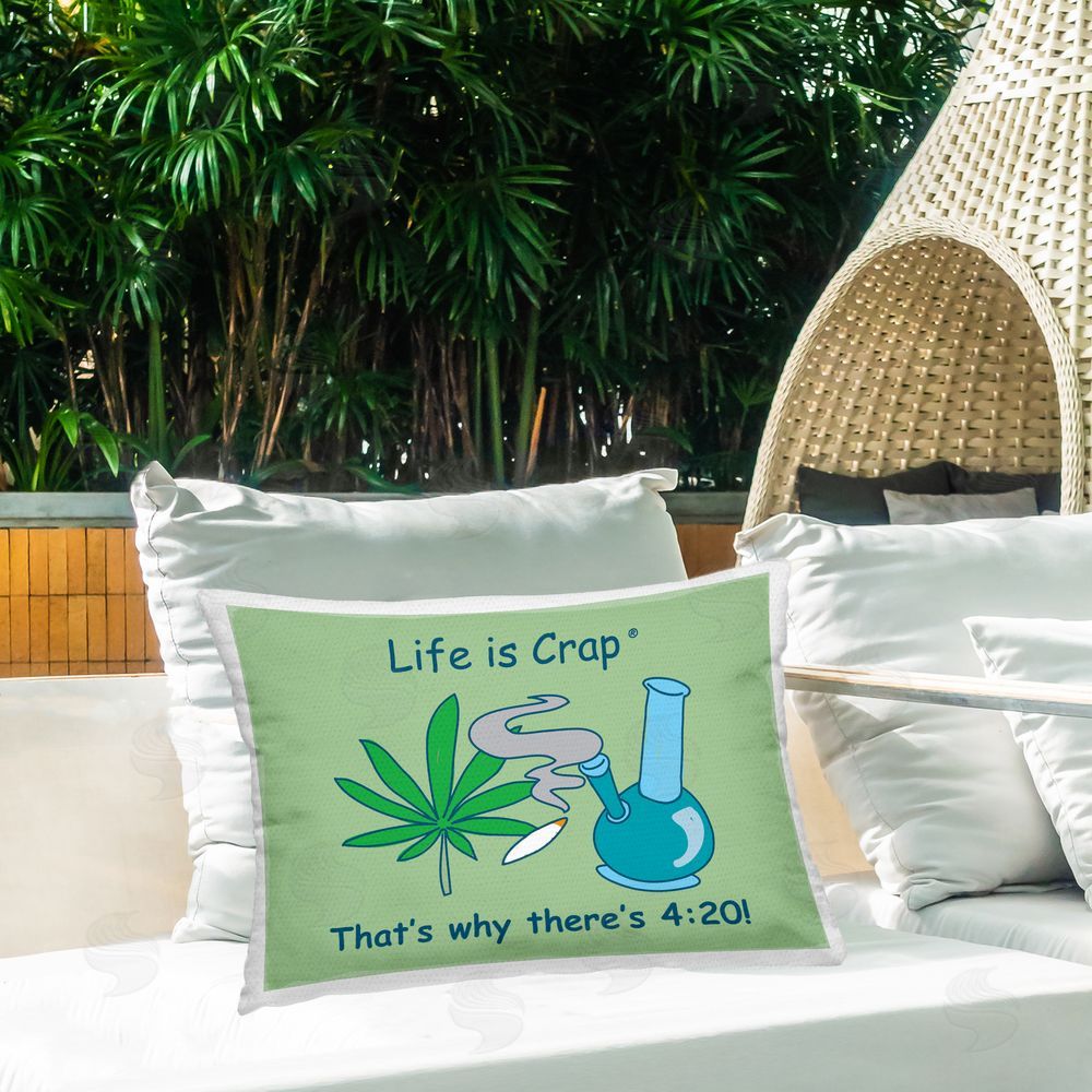 LIC Funny That's Why 420 Outdoor Quick-Dry Polyester Printed Throw Pillow in Back Yard