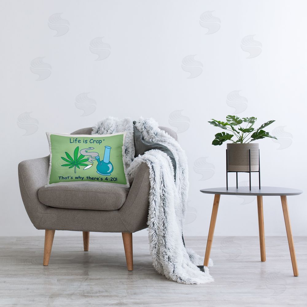 LIC Funny That's Why 420 Printed Plush Polyester Throw Pillow On Chair