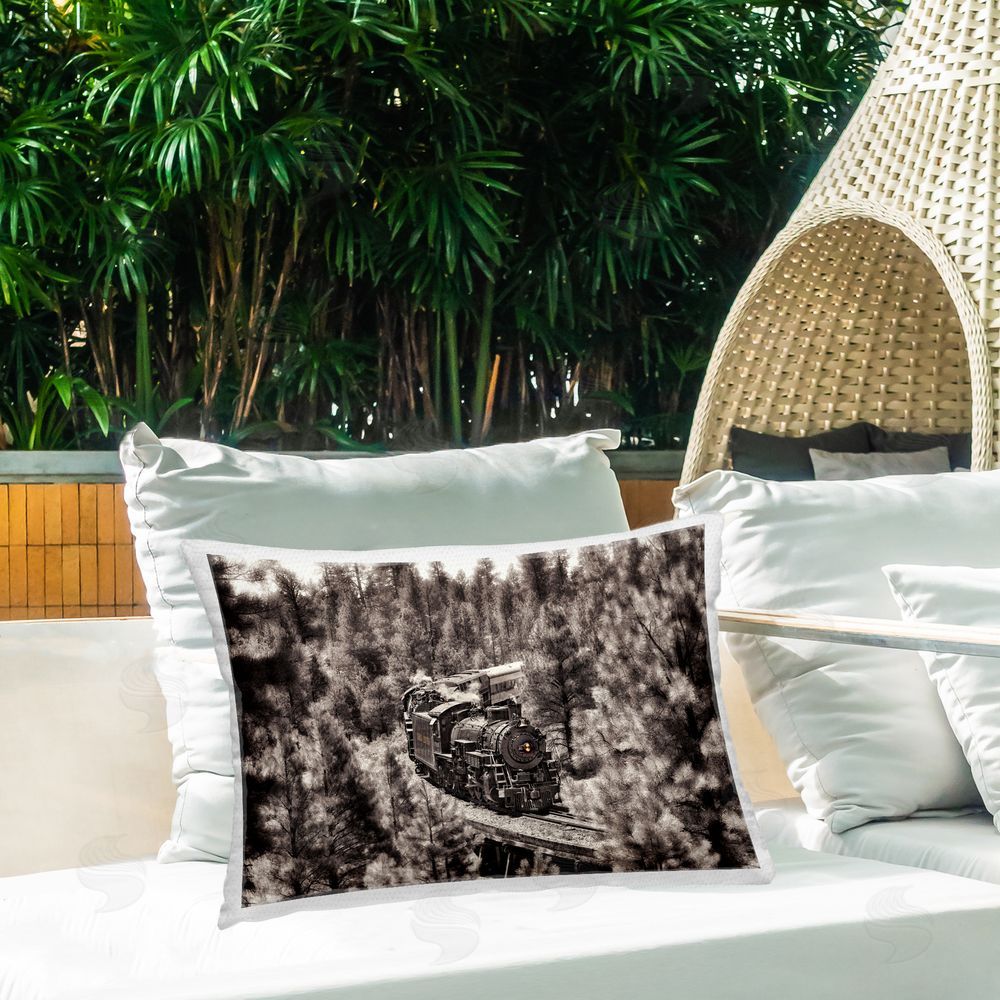 David Drost Train on Curving Path Outdoor Quick-Dry Polyester Printed Throw Pillow in Back Yard