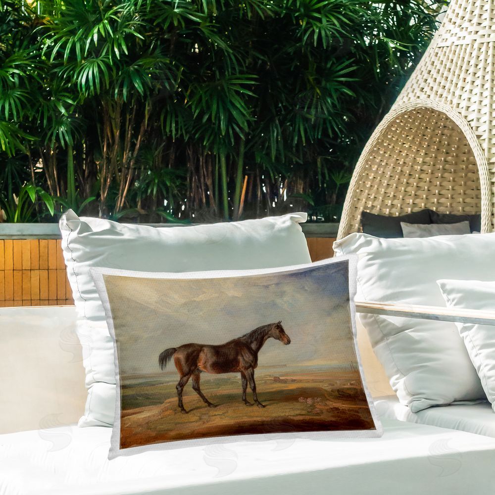 James Ward Stoic Foal Desert View Outdoor Quick-Dry Polyester Printed Throw Pillow in Back Yard