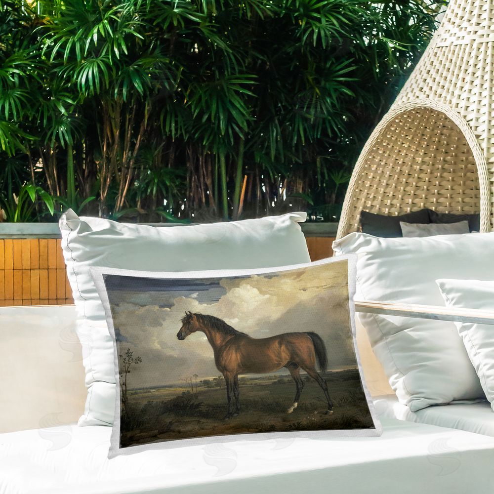 James Ward Overcast Clouds & Horse Outdoor Quick-Dry Polyester Printed Throw Pillow in Back Yard