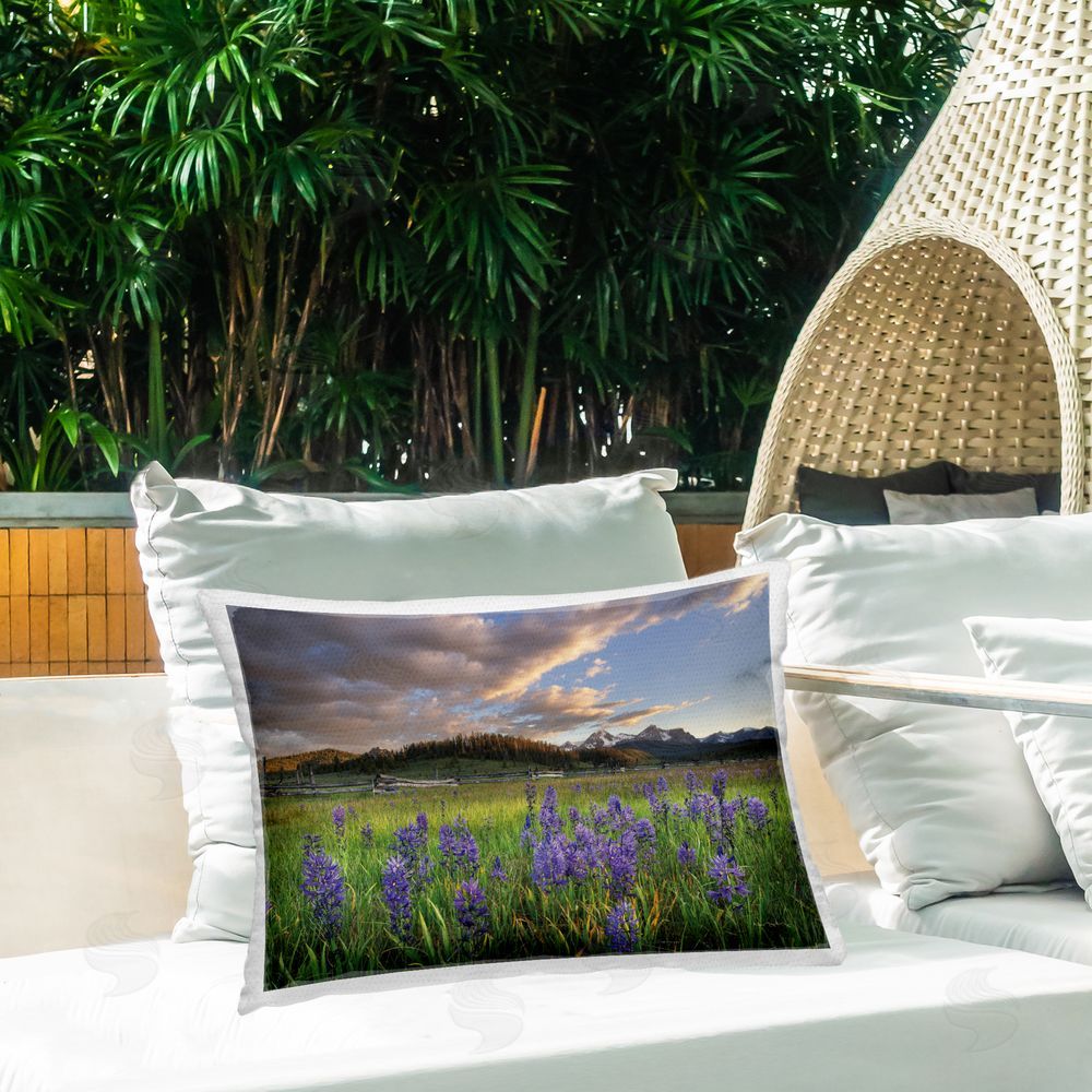 Alan Majchrowicz Lavender Bloom Meadows Outdoor Quick-Dry Polyester Printed Throw Pillow in Back Yard