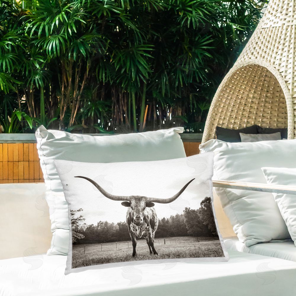 Nathan Larson Longhorn Licking Lips Outdoor Quick-Dry Polyester Printed Throw Pillow in Back Yard