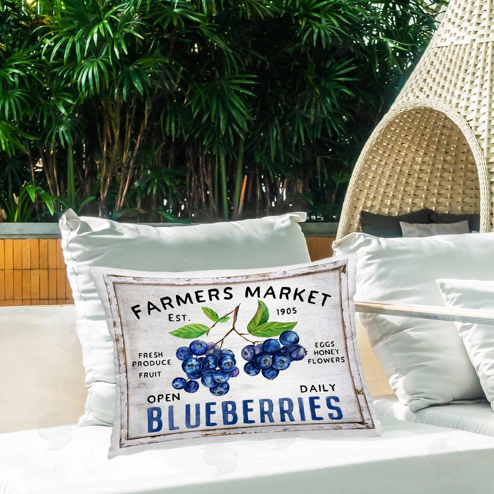 Creatif Belle Farmers Market Bluberries Outdoor Quick-Dry Polyester Printed Throw Pillow in Back Yard