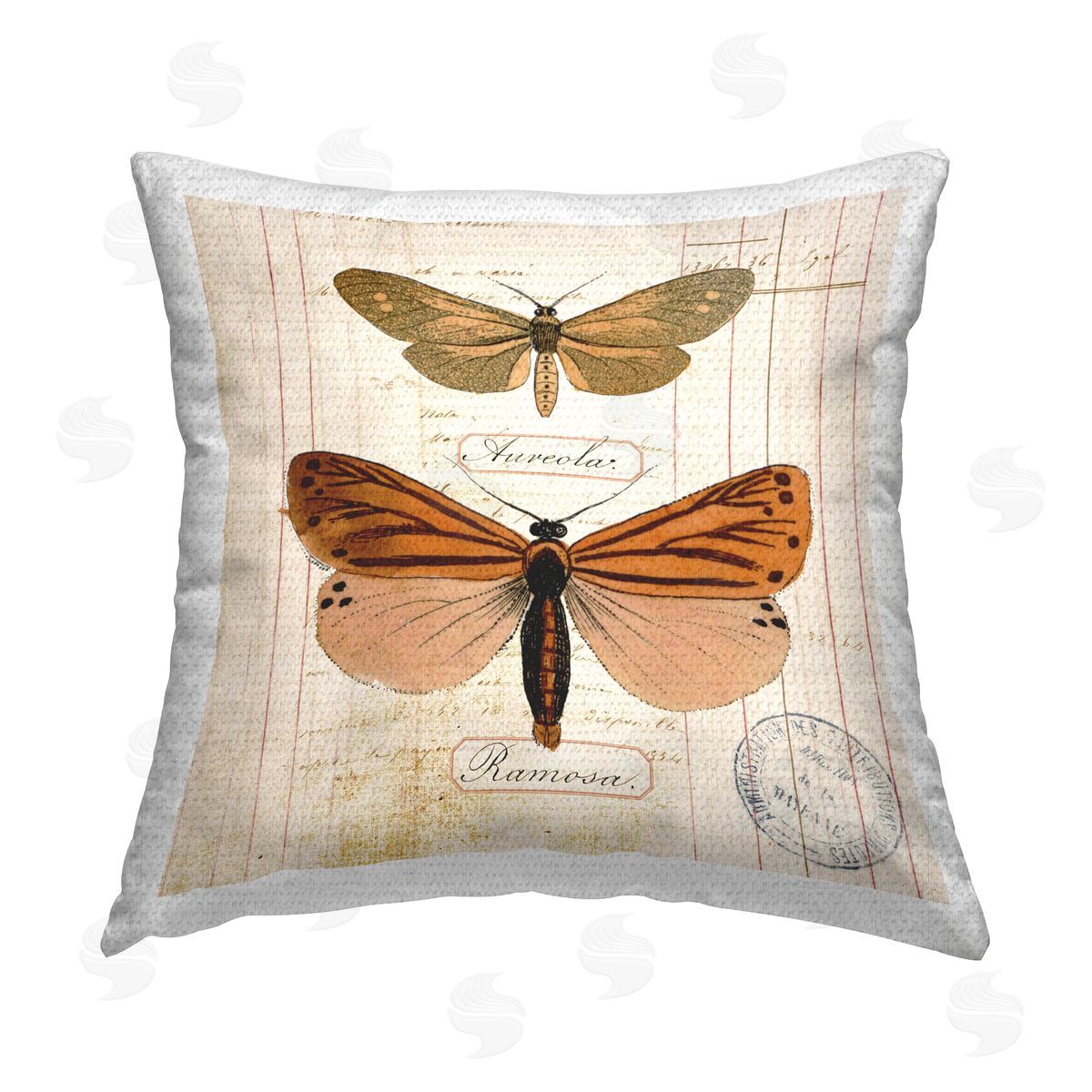 Susan Arnot Butterfly Latin Studies Outdoor Quick-Dry Polyester Printed Throw Pillow